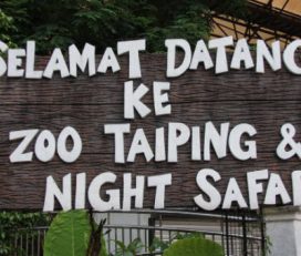 Taiping Zoo & Night Safari