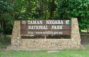 Taman Negara National Park, Pahang